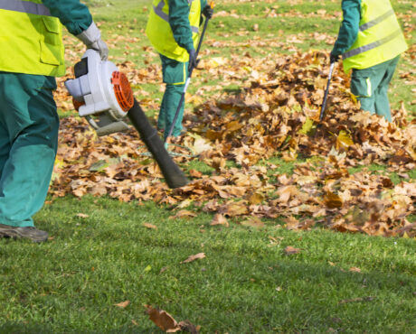 Workers,Cleaning,Fallen,Autumn,Leaves,With,A,Leaf,Blower